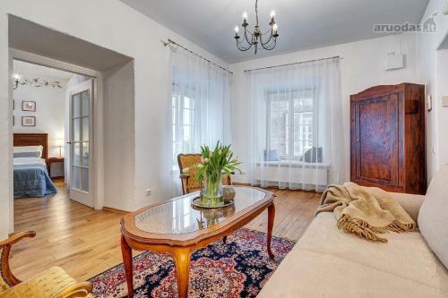 Old Town Saviciaus Street Apartment