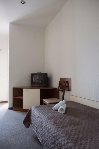 Motelis Gari?nai