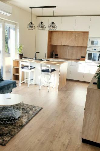 New Studio Apartment In ?v?rynas