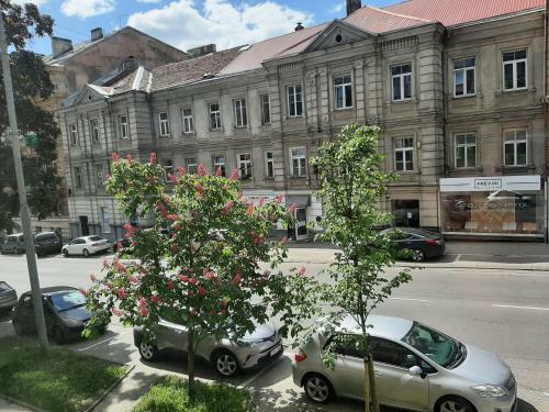 Apartamento Centrally Located Cosy Studio W/free Parking