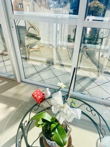 Apartamento Kitnet Da Ines