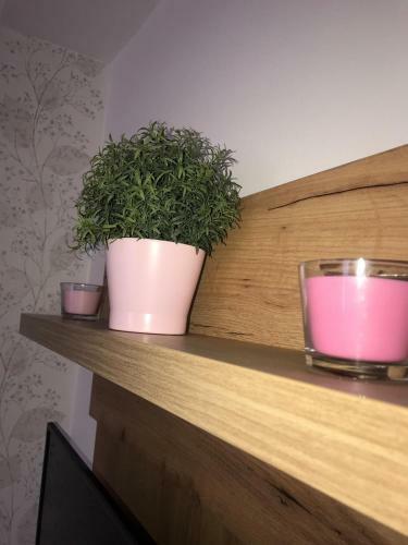Apartmani Milan-o ?abac