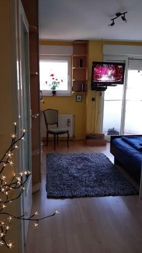 Apartman 015 Live