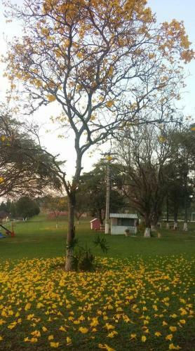 Hotel Fazenda Recanto Do Sossego