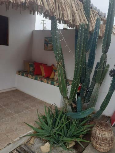 Posada Pousada Flor De Jamb�