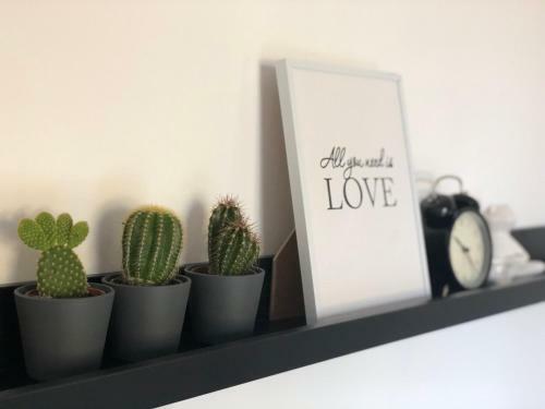 Apartman Spring