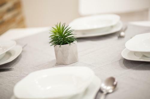 Apartman Rada