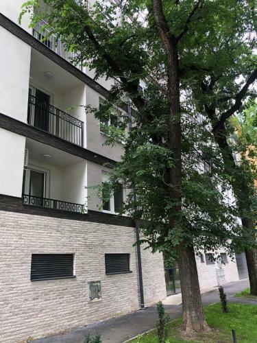 Apartamento Linden Flower