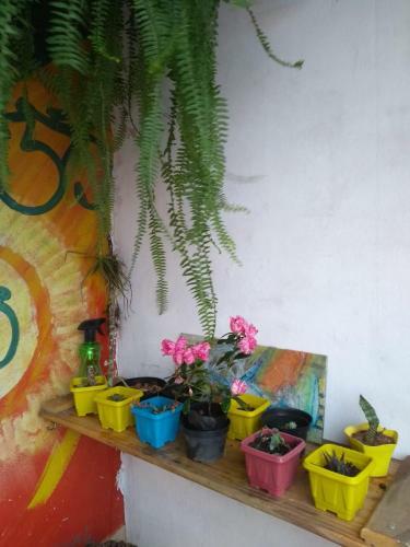 Casa de Jah - S�o Thom� Das Letras,minas Gerais-br