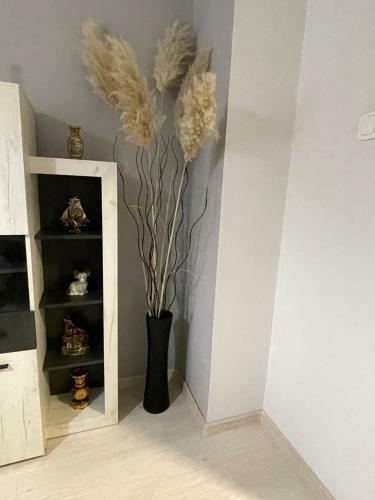 Apartman Lola