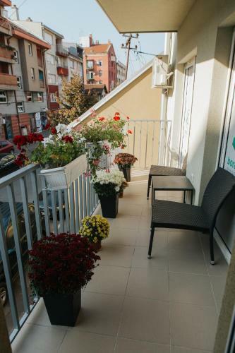 Apartman Srna