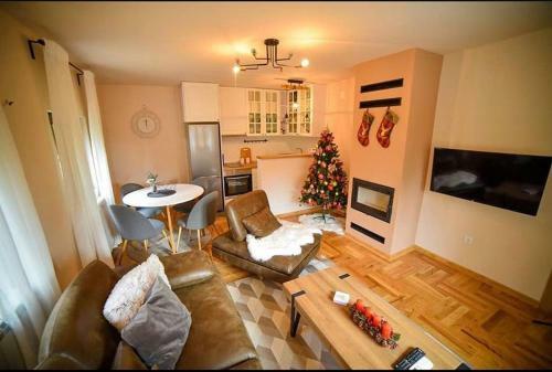 Villa Green Pine House