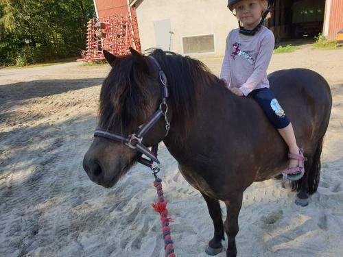 Bed & Breakfast Bo I Remmarl�v