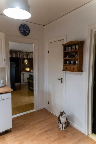 Apartamento Mysig Takv�ning Med Balkong