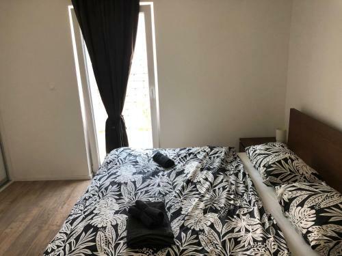 Apartm�n V Centre Michaloviec