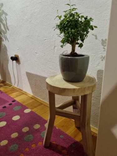Martin�s House