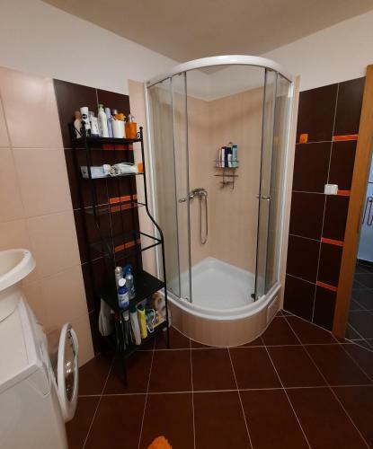 Apartm�n Lesn�