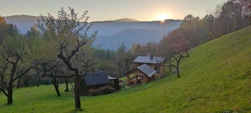 Villa Na Samote U Lesa