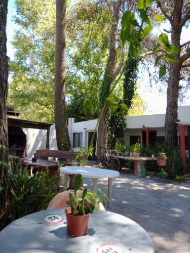 Hostal Hostel Orion