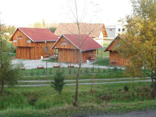 Privat Dagmar