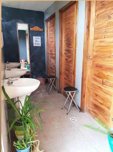 Hostel Del Lago, Habitaciones Privadas Y Caba�as