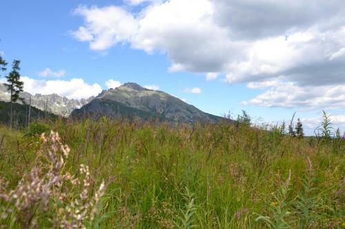 Apartm�n V Starej Lesnej S Balk�nom