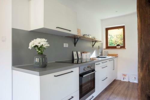 Woodywood House Bohinj