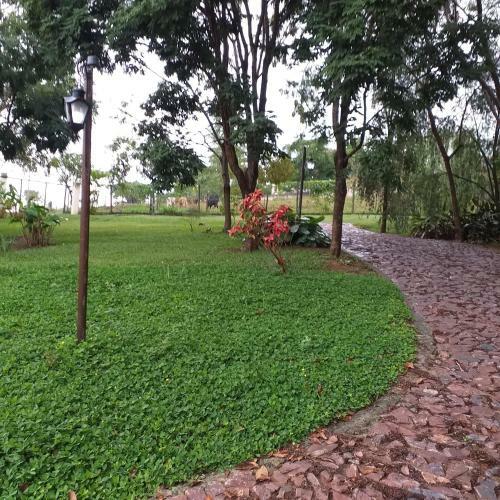 Chal� Da Mata No S�tio Natureza & Magia