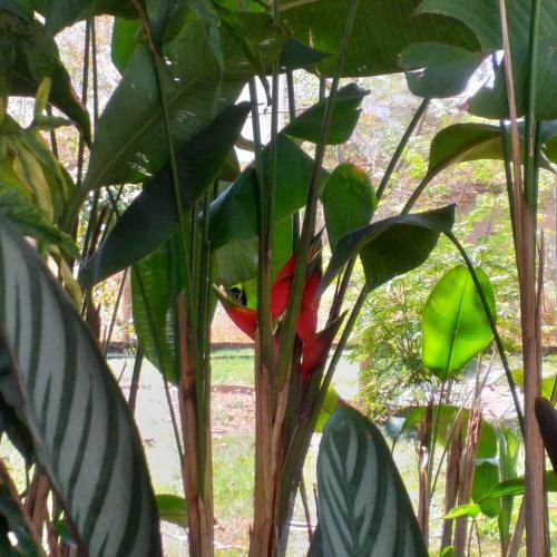 Chal� Da Mata No S�tio Natureza & Magia