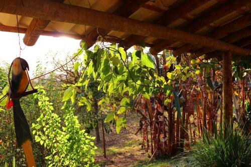 Chal� Da Mata No S�tio Natureza & Magia