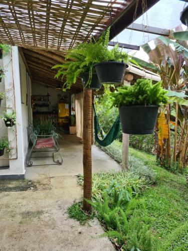 Chal� Da Mata No S�tio Natureza & Magia