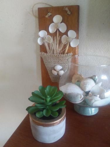 Hostal Su�te Das Flores Em Guajiru