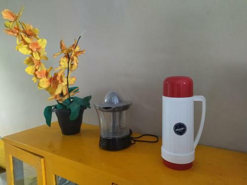 Casa No Centro De Triunfo