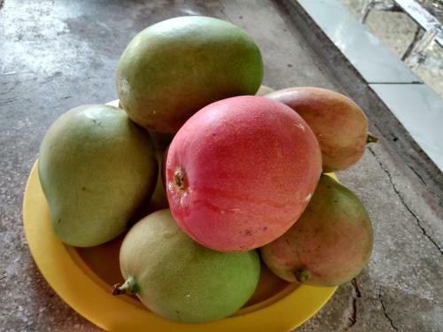 Sitio Nazar�