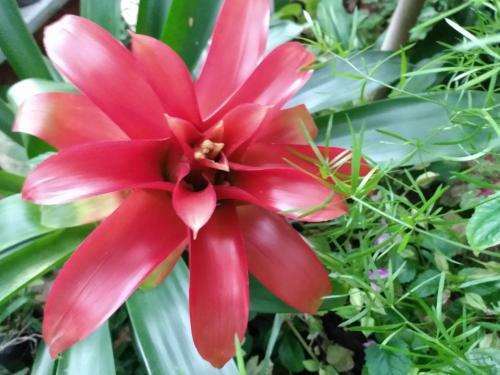 Sitio Nazar�
