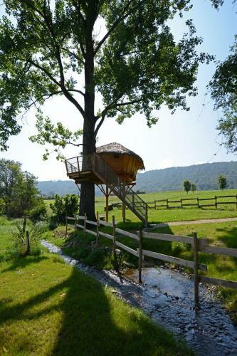 Bed & Breakfast Domaine De Suzel