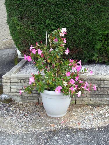 Bed & Breakfast Chambre D'h�tes Tardy