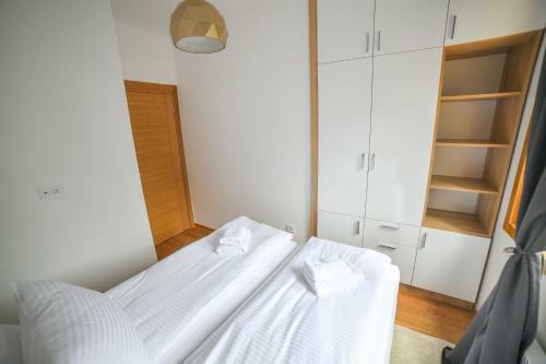 Vila Elsa Apartmani Kosta Todorovic