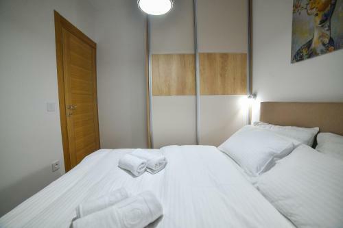 Vila Elsa Apartmani Kosta Todorovic