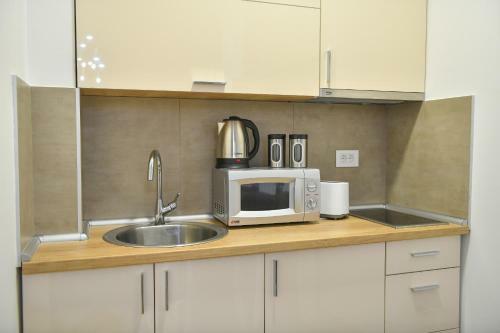 Vila Elsa Apartmani Kosta Todorovic