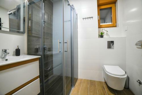 Vila Elsa Apartmani Kosta Todorovic