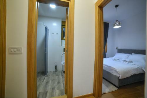 Vila Elsa Apartmani Kosta Todorovic