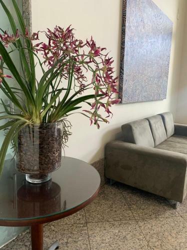 Apartamento Flat Home Experience Praia Do Canto