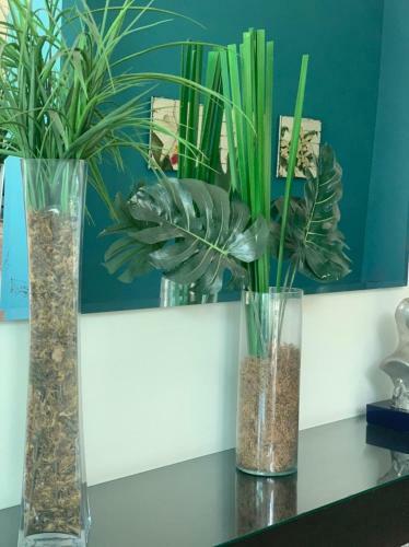 Apartamento Flat Home Experience Praia Do Canto
