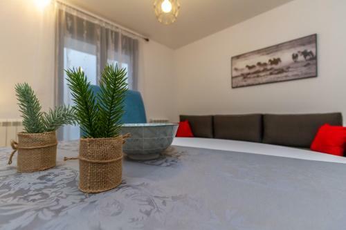 Apartman ?oki? 2 Zlatibor
