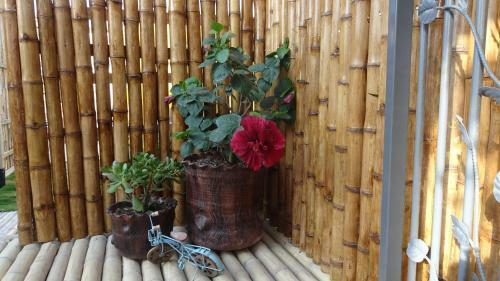 Bed & Breakfast Posada Estrella