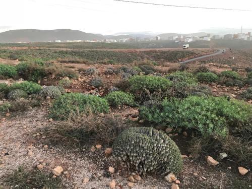 Apartamento My Home Mirelft