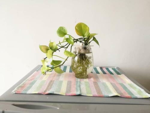 Apartamento Empire Damansara Studio By Cities Homes Malaysia