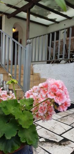 Country House By The Sea !!!