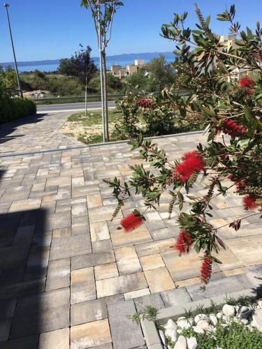 Apartments With A Parking Space Makarska - 16496